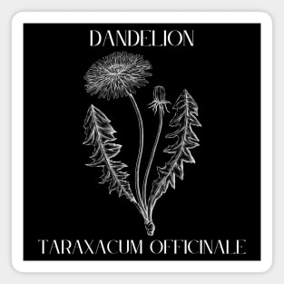 Dandelion (white on black) Magnet